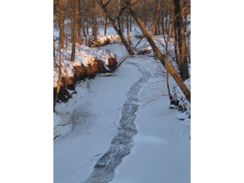 Sur ma rivière