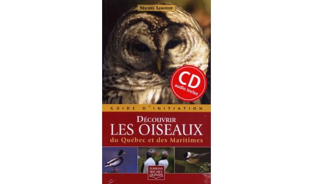 Les Découvertes de Suzanne (4)